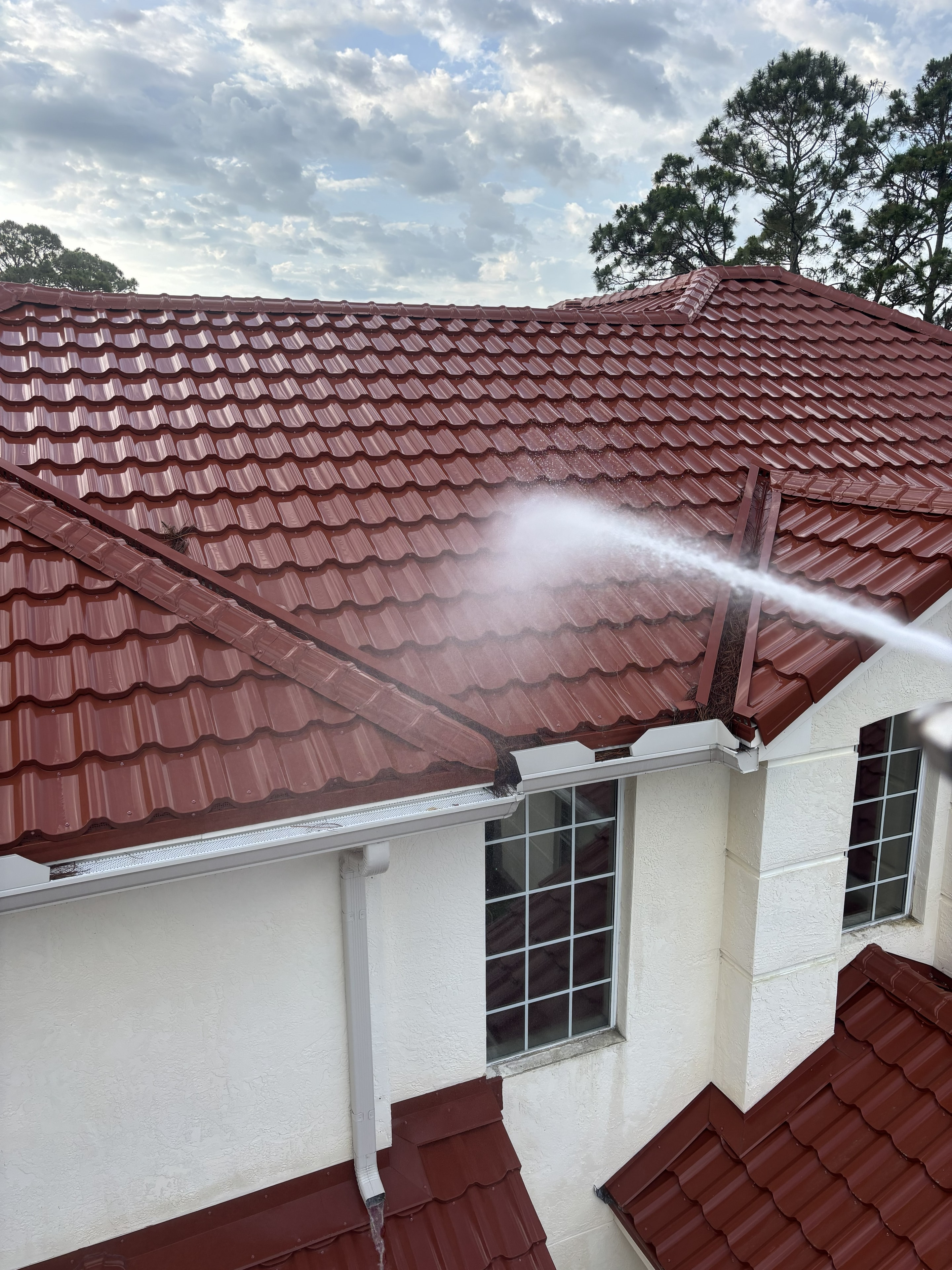 Roof Cleaning service